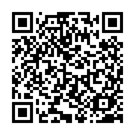 QR code for plate P99 0UM