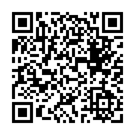 QR code for P991U