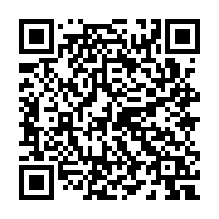QR code for P991UR