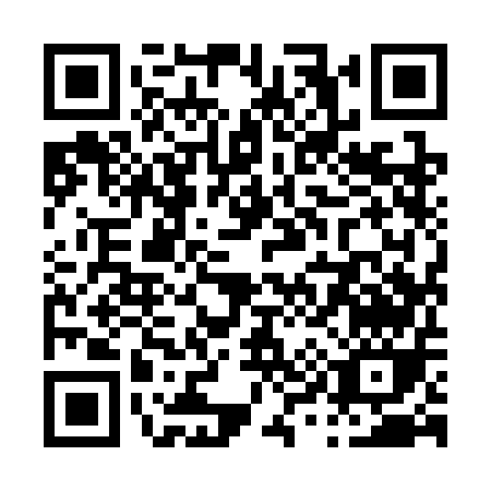 QR code for P993E