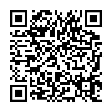 QR code for P993Q