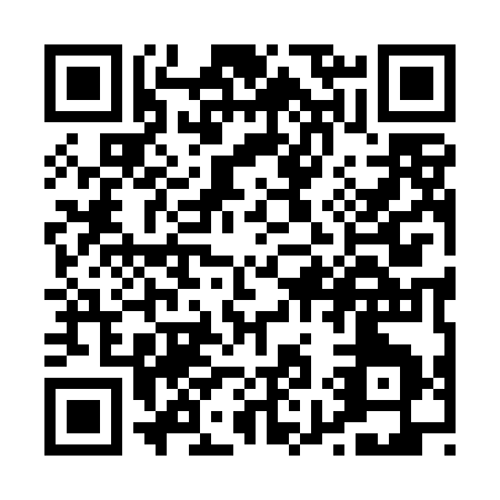 QR code for P994C