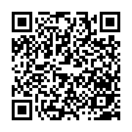 QR code for P994V