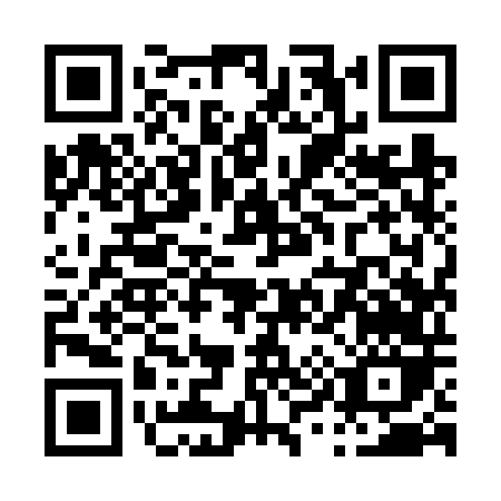 QR code for P996T
