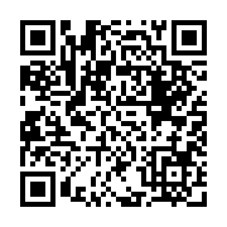 QR code for Q013H