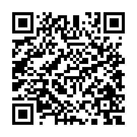 QR code for Q041V