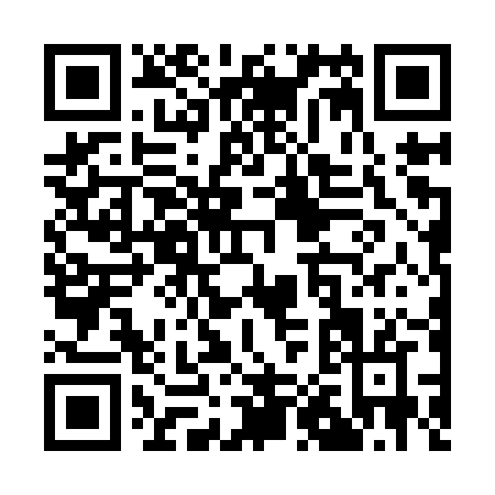 QR code for Q069Z