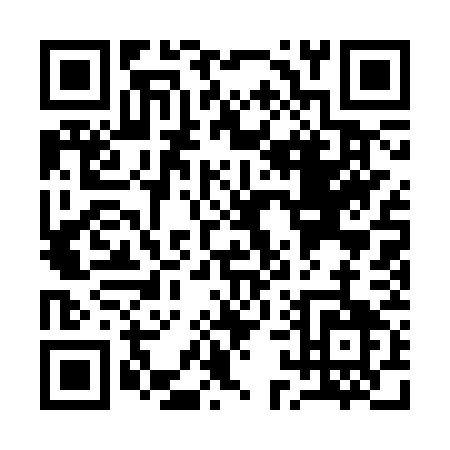 QR code for Q113W