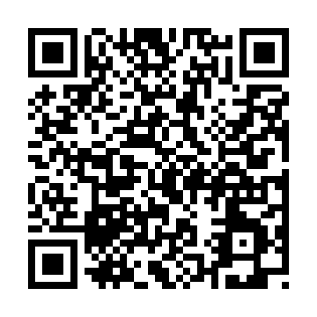 QR code for Q161H