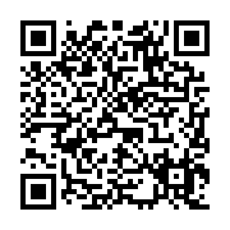 QR code for Q161P