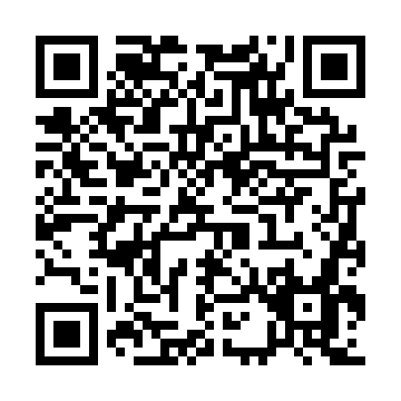 QR code for Q161W