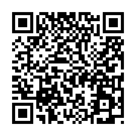 QR code for Q198N
