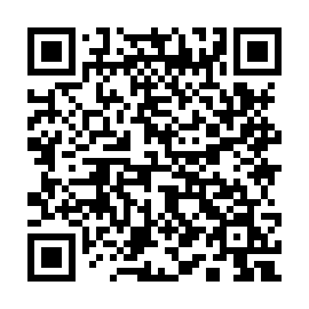 QR code for Q198WN