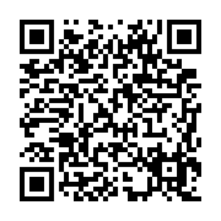 QR code for Q207H