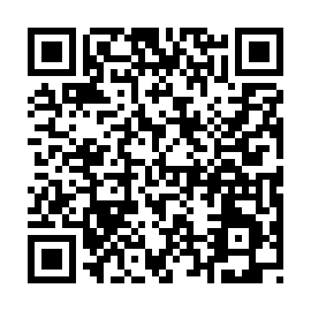 QR code for Q211T