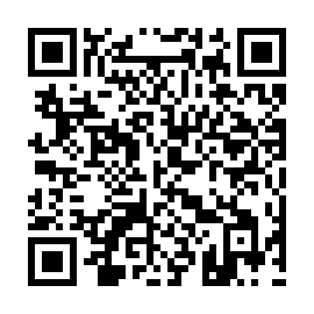 QR code for Q213DI