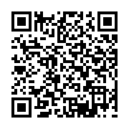 QR code for Q213N