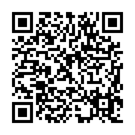 QR code for Q215H