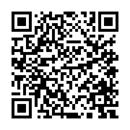 QR code for Q218H