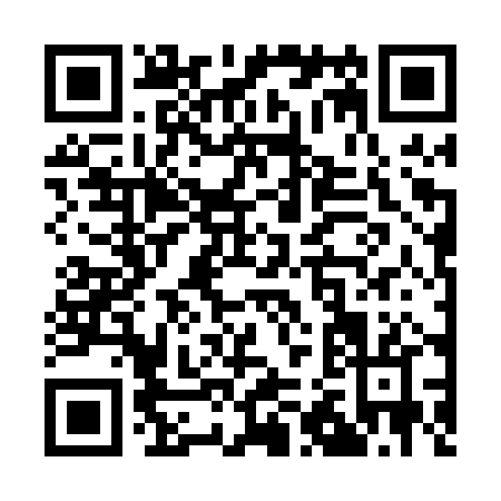 QR code for Q220P