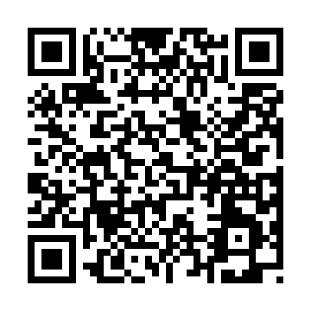 QR code for Q225L