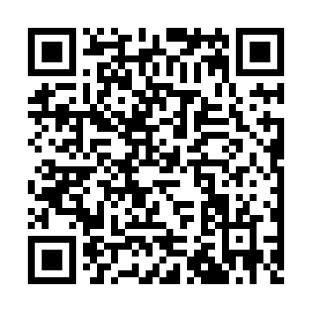 QR code for Q228N