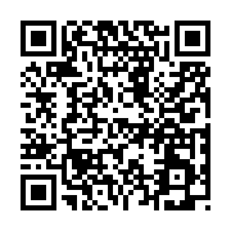 QR code for Q228V