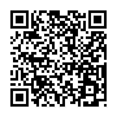 QR code for Q238T