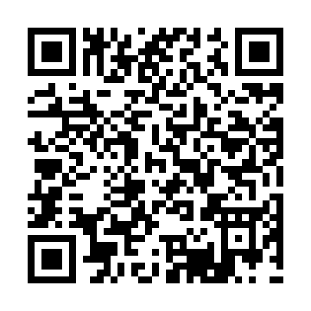 QR code for Q249E
