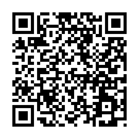 QR code for Q249J