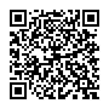 QR code for Q250AE