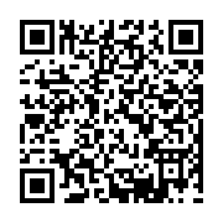 QR code for Q272E