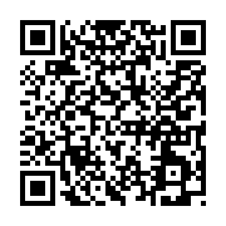 QR code for Q295Q