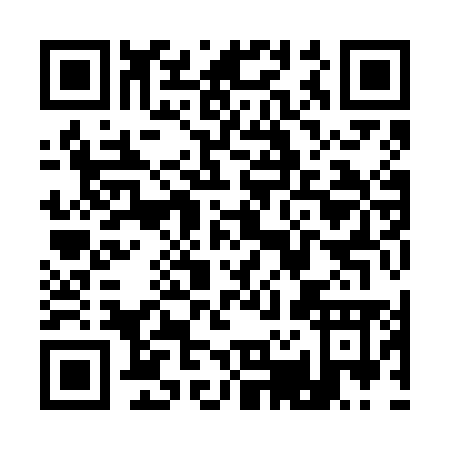 QR code for Q296M