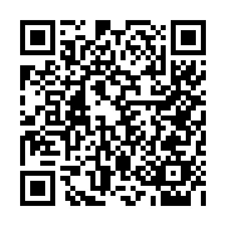 QR code for Q306A