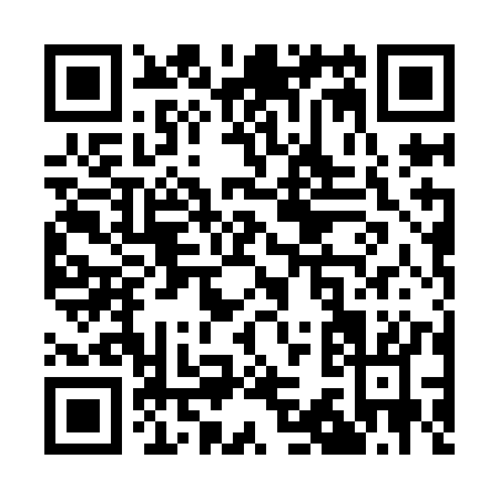 QR code for Q309K