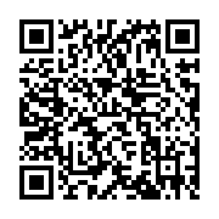 QR code for Q309Z