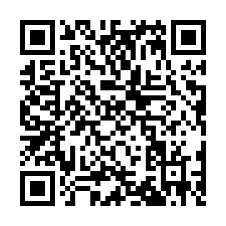 QR code for Q310V