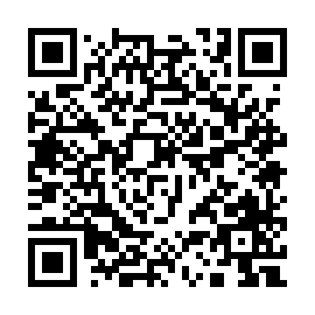 QR code for Q311X