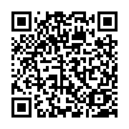 QR code for Q313WU