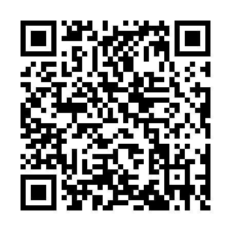 QR code for Q317N