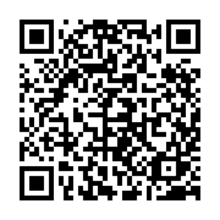 QR code for Q318IS