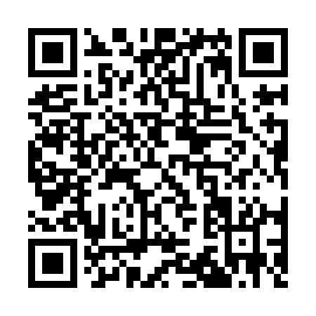 QR code for Q319A