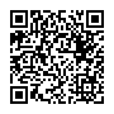 QR code for Q319P