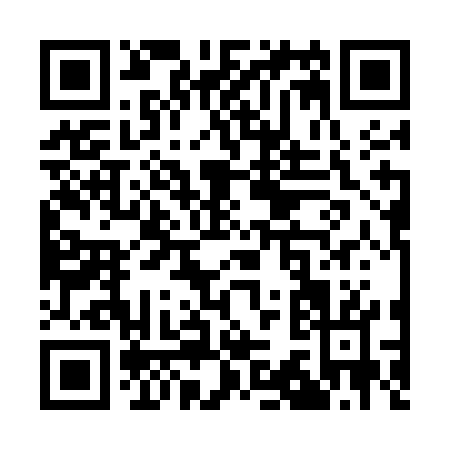 QR code for Q335G