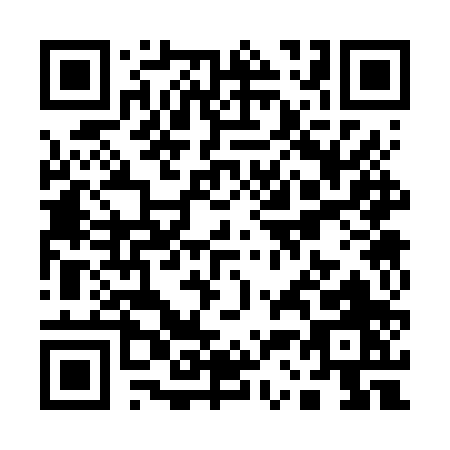 QR code for Q336P