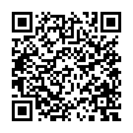 QR code for Q338X