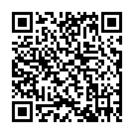 QR code for Q377P