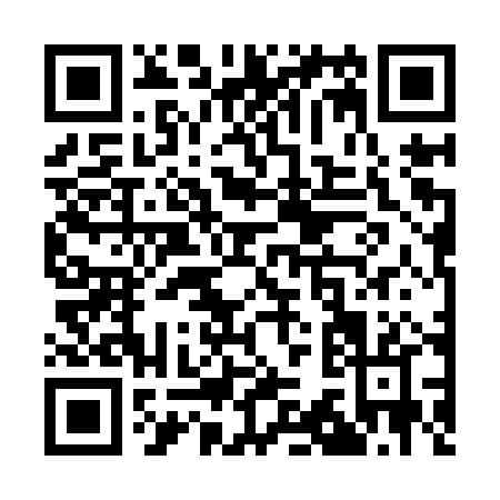 QR code for Q379P