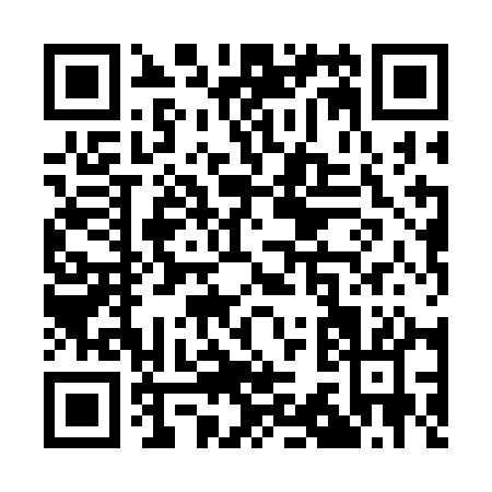 QR code for Q383A